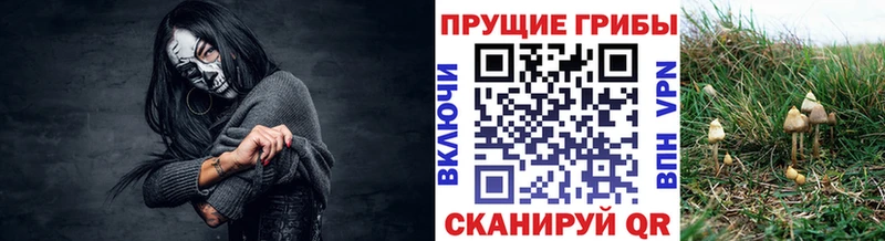 ссылка на мегу зеркало  Мончегорск  Галлюциногенные грибы MAGIC MUSHROOMS 
